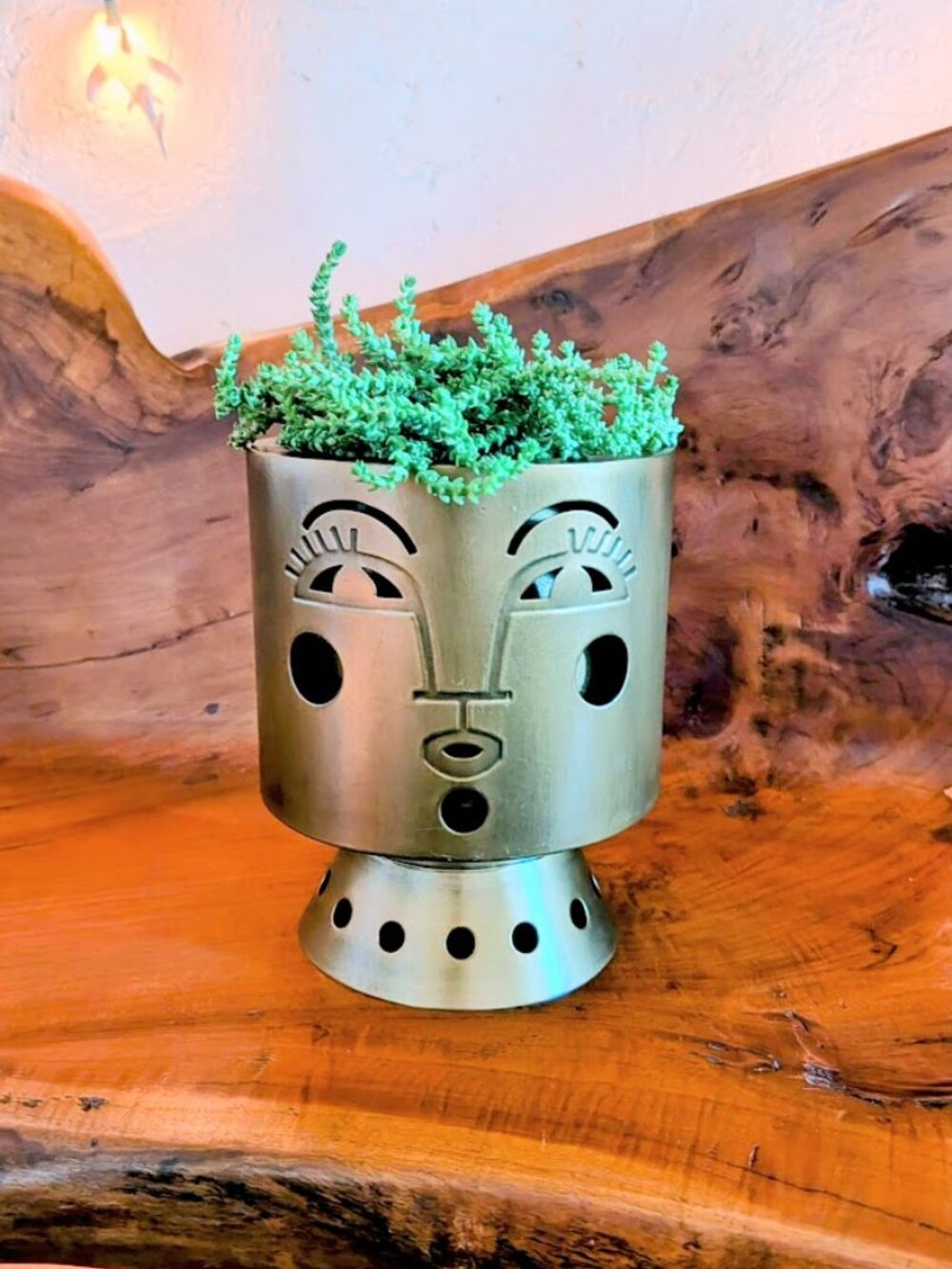Jungalow - Brass Bette Planter Pot by Justina Blakeney - Picture 2 of 6